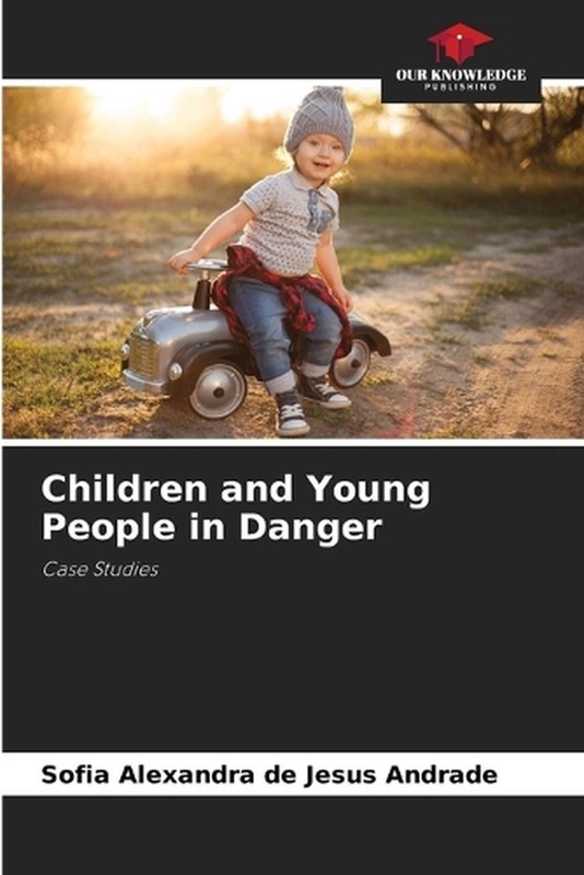 Children and Young People in Danger by Sofia Alexandra de Jesus Andrade Paperbac