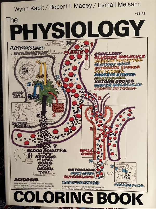 Lot of 2: The Anatomy (2nd Edition) & The Physiology Coloring Books