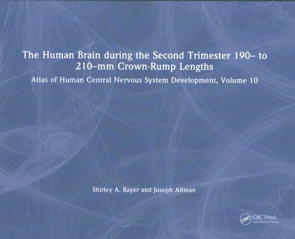 Human Brain During the Second Trimester 190 to 210-mm Crown-Rump Lengths, Har…