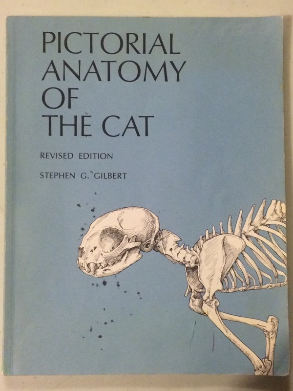 Pictorial Anatomy of the Cat by Stephen G. Gilbert (1975, Paperback, Revised)