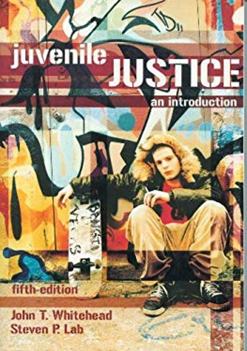 Juvenile Justice : An Introduction Paperback John T. Whitehead
