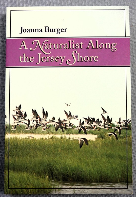 Naturalist along the Jersey Shore by Joanna Burger (1996,