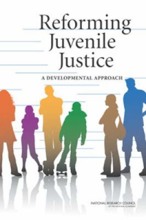 Reforming Juvenile Justice : A Developmental Approach Paperback