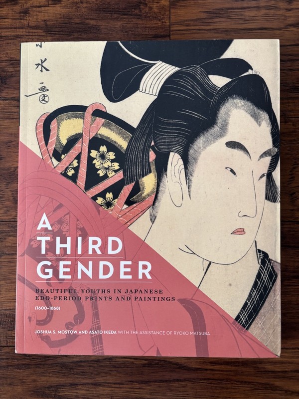 A Third Gender: Beautiful Youths in Japanese Edo-Period Prints and Paintings NEW