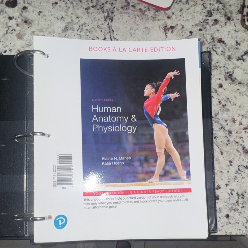 Pearson Human Anatomy & Physiology 11th Ed Loose-Leaf Marieb & Hoehn gallery