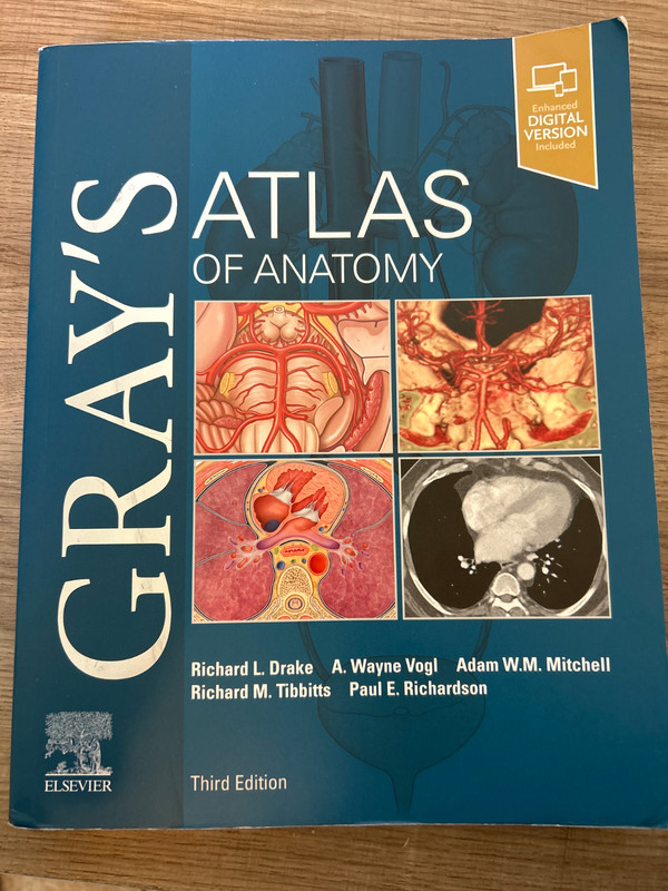grays atlas of anatomy 3rd edition