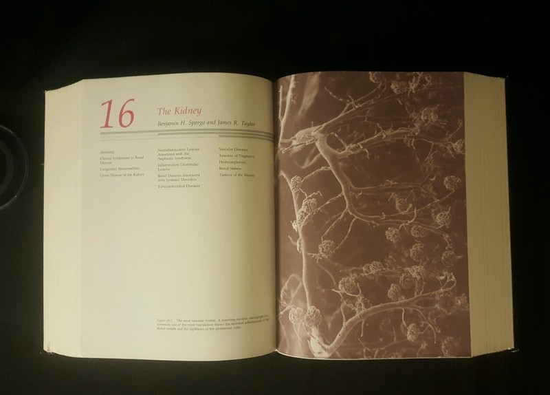 Large Book On Pathology By Emanuel Rubin And John L. Farber Over 1500 Pages gallery