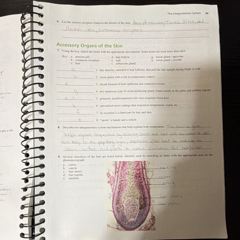 Pearson Human Anatomy Lab Manual w/ Cat Dissections 9th Ed Spiral Marieb gallery