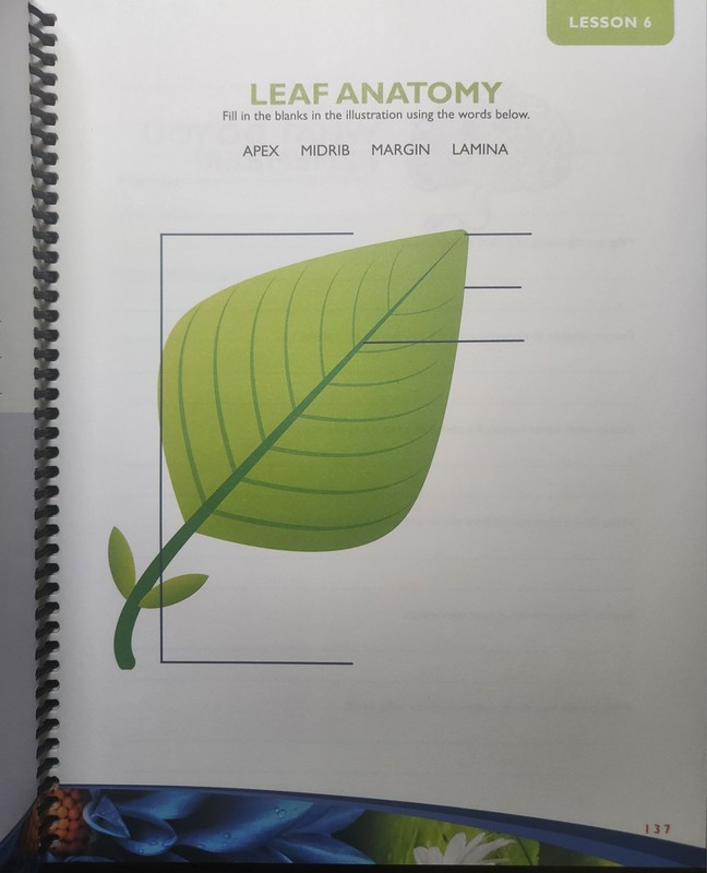 Exploring Creation with Botany Notebooking Journal 2009 Spiral 2nd Edition gallery
