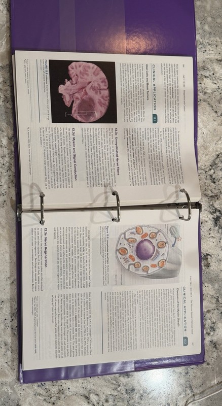 Loose Leaf for Saladin Human Anatomy: 2024 Release gallery