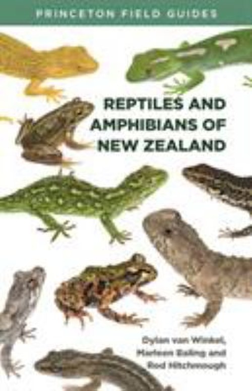 Reptiles and Amphibians of New Zealand Paperback
