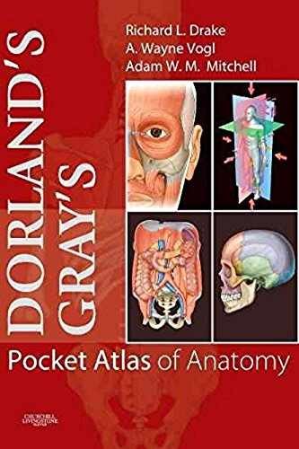 Dorland’s/Gray’s Pocket Atlas of – Paperback, by Richard L. Drake; – Very Good