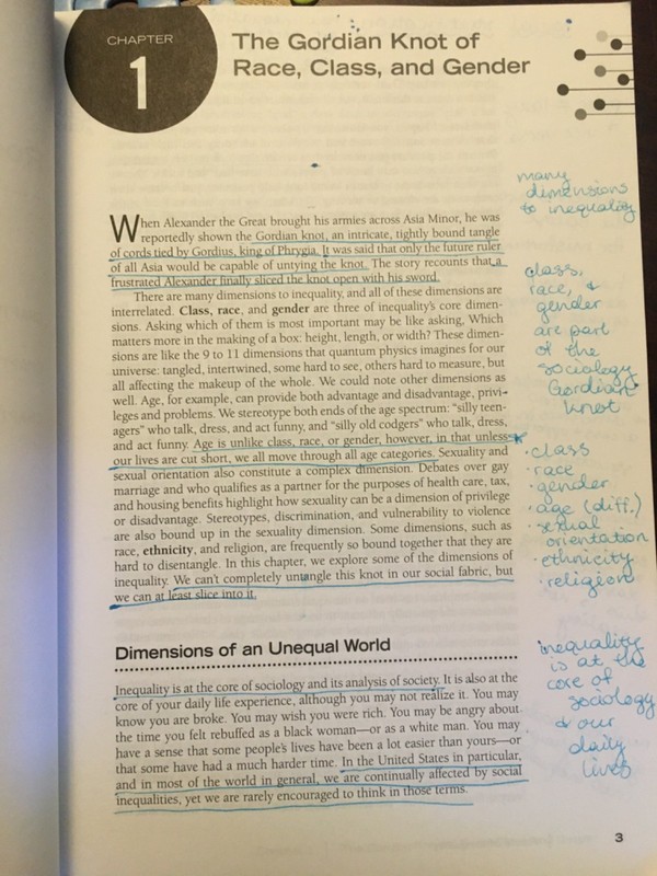 Social Inequality in a Global Age Paperback Scott R. Sernau, 3 pages marked up gallery