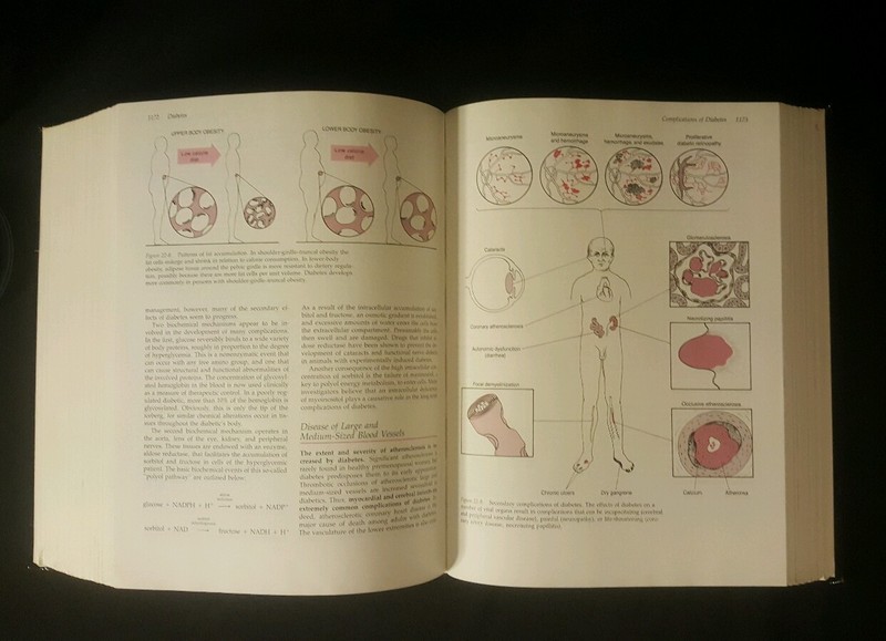 Large Book On Pathology By Emanuel Rubin And John L. Farber Over 1500 Pages gallery