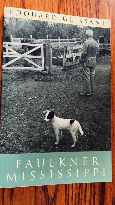 Faulkner, Mississippi by Edouard Glissant (2000, Trade Paperback) NEW