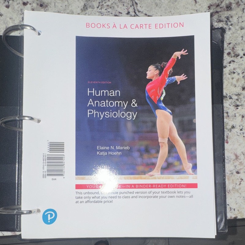 Pearson Human Anatomy & Physiology 11th Ed Loose-Leaf Marieb & Hoehn