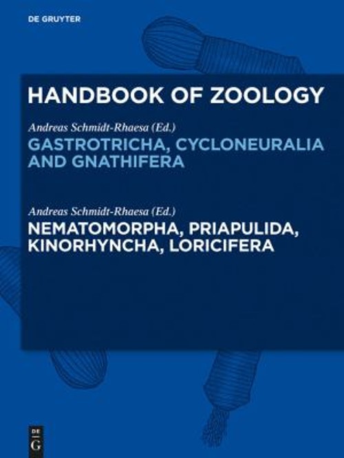 11 Hardcover