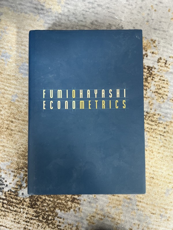 Econometrics by Fumio Hayashi (2000, Hardcover)