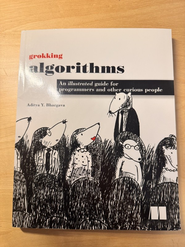 Grokking Algorithms: An Illustrated Guide for Programmers.- LIKE NEW