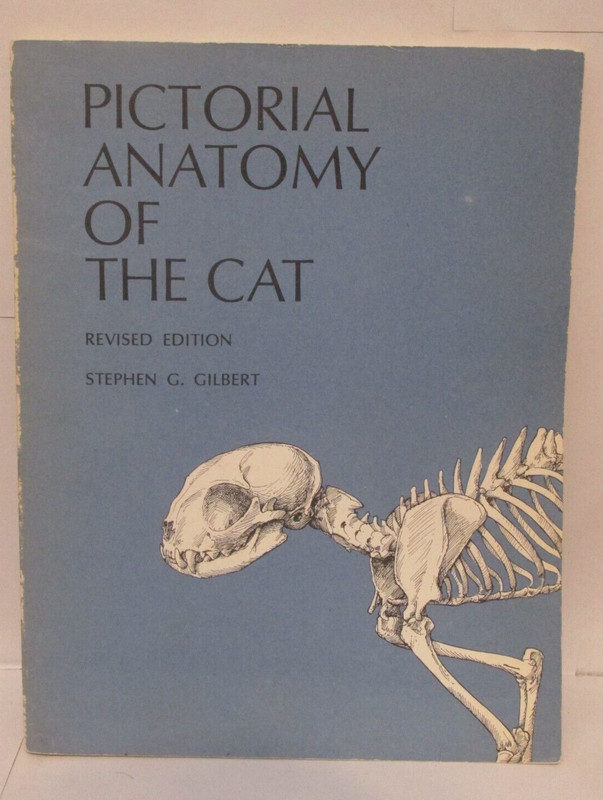 PICTORAL ANATOMY OF THE CAT By Stephen G. Gilbert, Revised Edition
