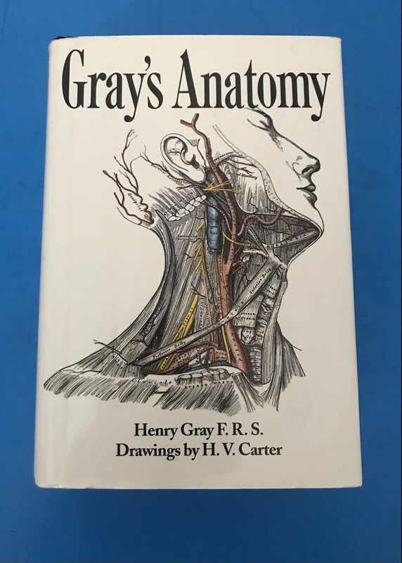 Very Good Gray’s Anatomy Gray, Henry Hardcover (1995), with dust jacket