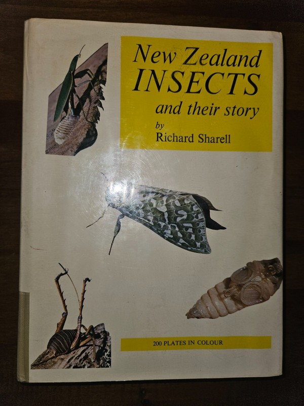 NEW ZEALAND INSECTS AND THEIR STORY SHARELL 1971 Hardcover ILLUSTRATED IN COLOR