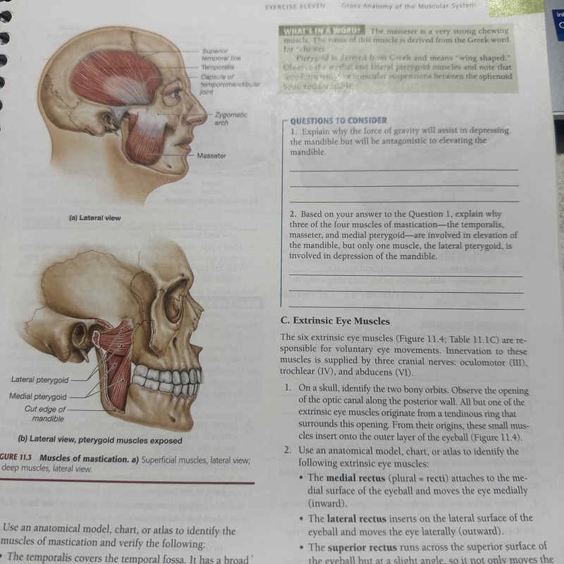 Book Laboratory Investigations in Anatomy Physiology Pig Version by Stephen S gallery