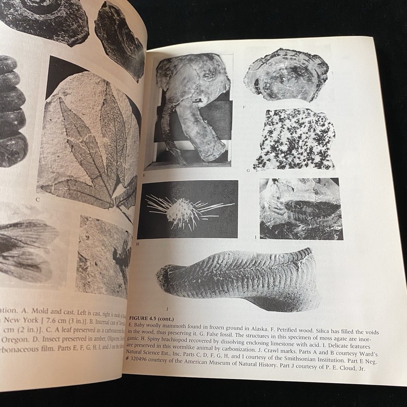Historical Geology by Robert J. Foster. 1991 Macmillan Pub. PB Textbook gallery