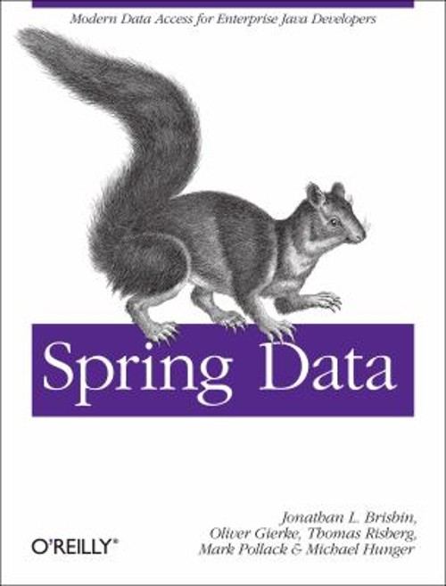 Spring Data : Modern Data Access for Enterprise Java Paperback