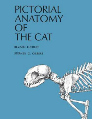 Pictorial Anatomy of the Cat by Stephen G. Gilbert (1975, Trade Paperback,…