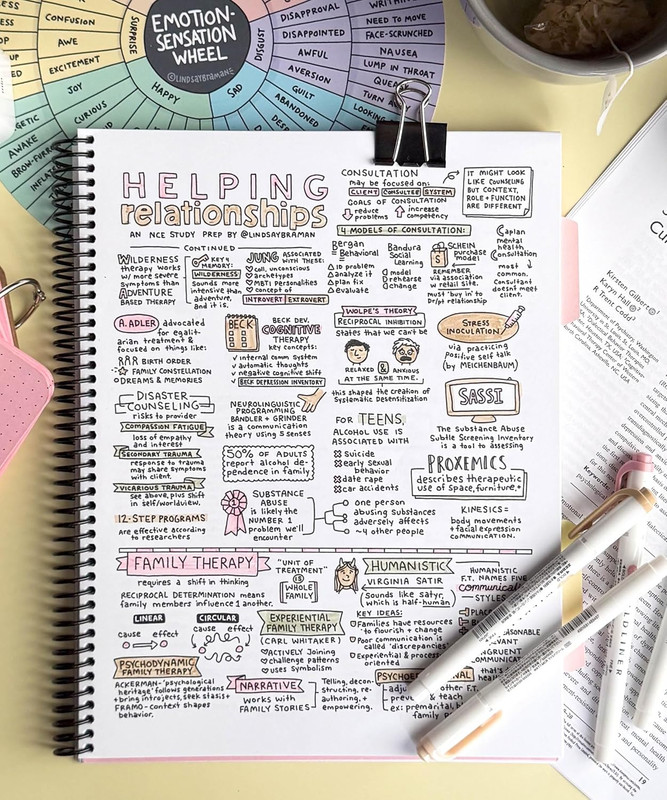 NCE Visual Study Guide & Activity Book by Lindsay Braman - Spiral-Bound Test Pre gallery