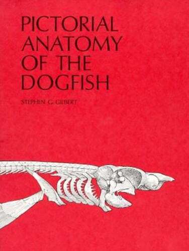 Pictorial Anatomy of the Dogfish by Stephen G Gilbert: Used
