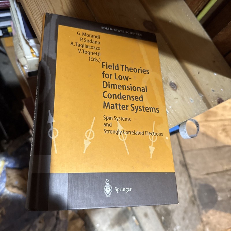Springer Series in Solid-State Sciences Ser.: Field Theories for Low-Dimensional