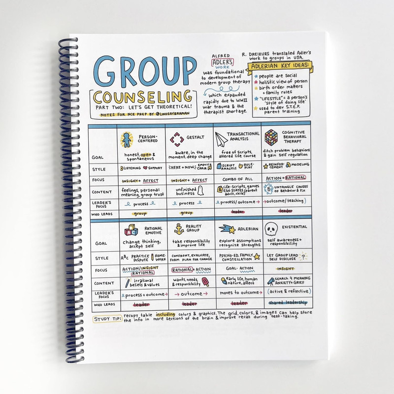 NCE Visual Study Guide & Activity Book by Lindsay Braman - Spiral-Bound Test Pre gallery