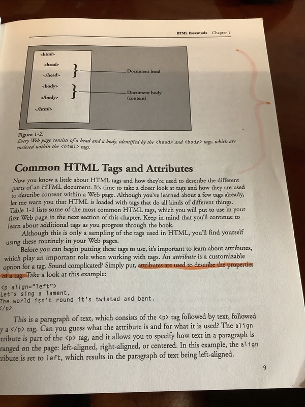 HTML and XML for Beginners by Michael Morrison (2001, Trade Paperback) gallery
