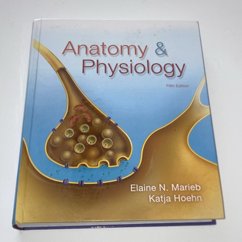 Anatomy & Physiology Fifth Edition By Elaine Marieb & Katja Hoehn – New