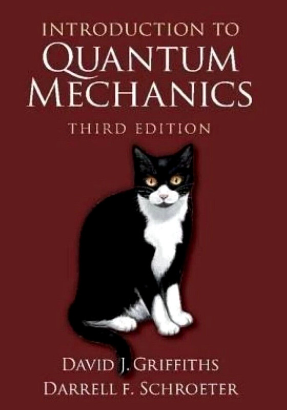 Introduction to Quantum Mechanics,Griffiths,Schroeter-IMPORT FEES PAID,DDP SHIP