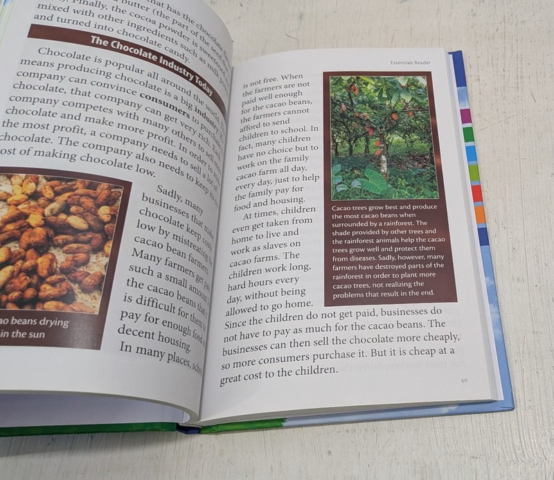 Essentials Reader Logic of English Essentials 1-30 By Kimberly Iverson HARDCOVER gallery