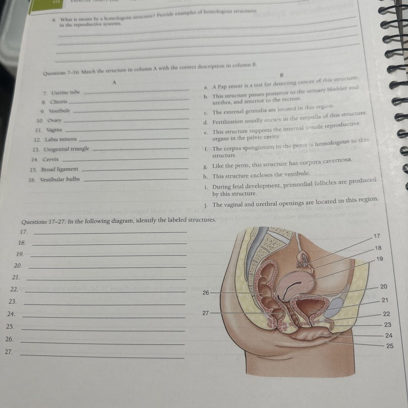 Book Laboratory Investigations in Anatomy Physiology Pig Version by Stephen S gallery