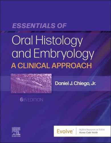 Essentials of Oral Histology and – Paperback, by Chiego Jr. MS – Good z