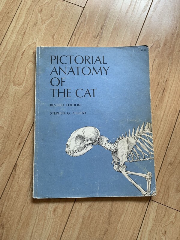 Pictorial Anatomy of the Cat Revised Edition, by Stephen G. Gilbert