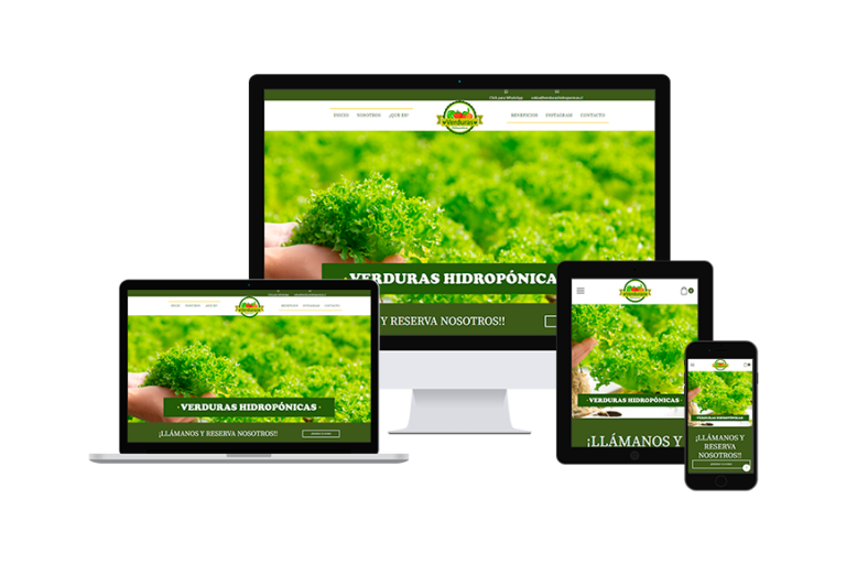 Publicidad – Marketing – verduras hidroponicas